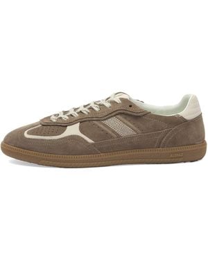 Alohas Tb 490 Rife Leather Sneakers - Brown