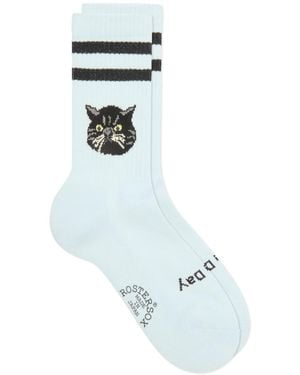 Rostersox Cat Socks - Blue