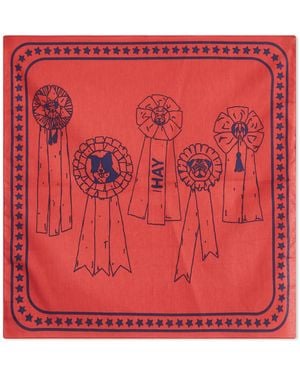 Hay Dog Scarf - Red
