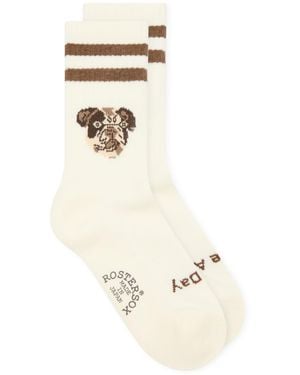 Rostersox Dog Socks - Metallic