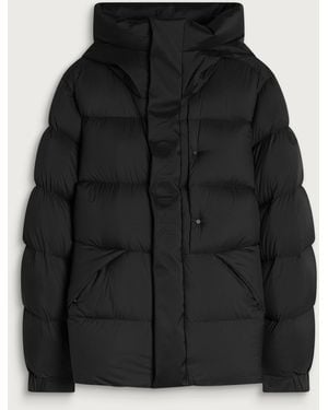 Moncler Madeira Padded Logo Jacket - Black