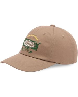 Palmes Angels 6-Panel Cap - Brown