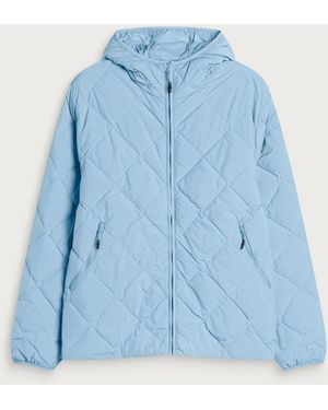 Hiking Patrol Base Grid Lt Down Hooded Jacket - Blue