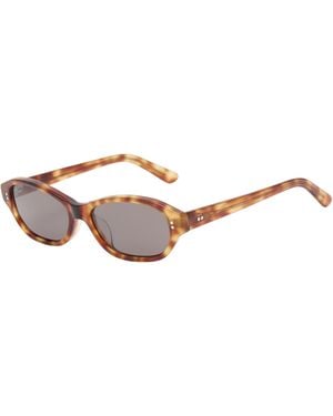 AKILA Rey Sunglasses - Brown