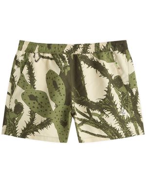 Nike Acg Reservoir Goat Aop Short - Green
