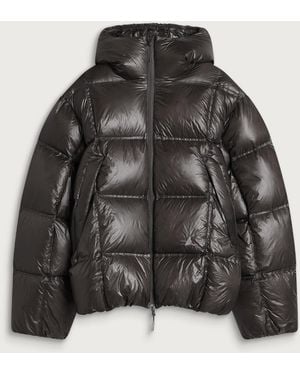 ROA Cube 650 Filll Power Down Jacket - Black