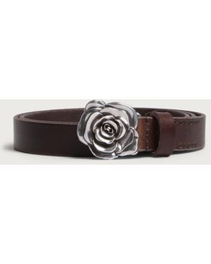 Our Legacy Rose Belt - Brown