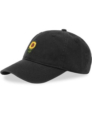Forét Tournesol Washed Cap - Black