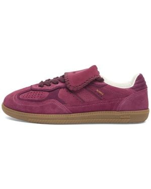 Alohas Tb 490 Club Suede Leather Sneakers - Purple