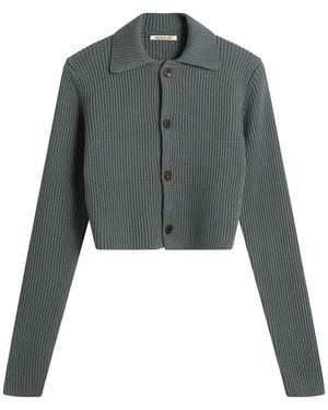 AURALEE Crop Knit Shirt Cardigan - Green