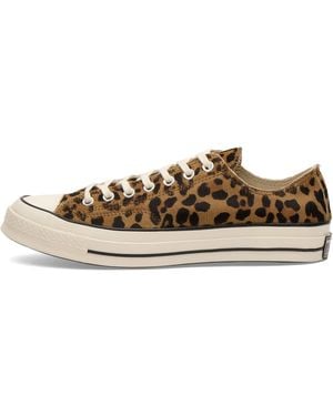 Converse Chuck Taylor 1970S Leopard Pony Hair Ox Trainers - Brown