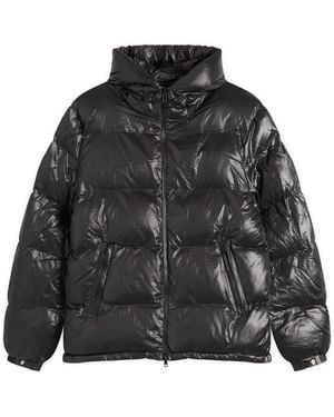 PATTA Quilted Script Logo Puffer Jacket - Black