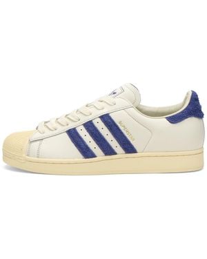 adidas Superstar Ii Trainer - Blue