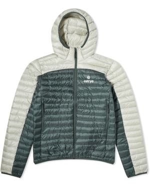 Ostrya Sapwood Down Jacket - Green