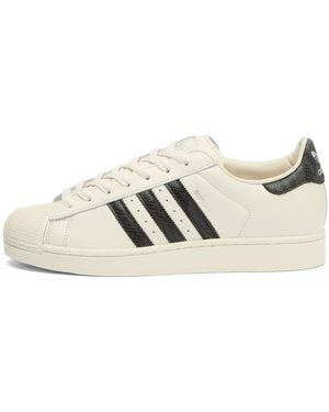 adidas Superstar Ii Trainer - Natural