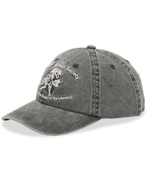 Palmes Lake 6-Panel Cap - Grey