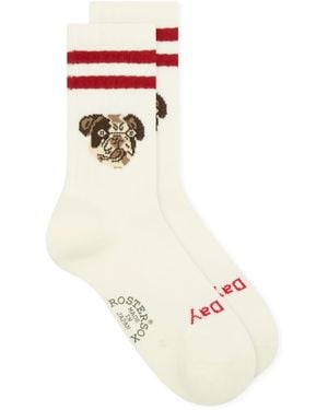 Rostersox Dog Socks - White