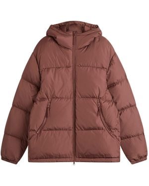 Hiking Patrol Element Down Jacket - Brown