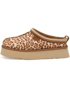 UGG Tazz Plains - Brown