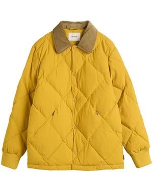 Kestin Dunbar Padded Jacket - Yellow