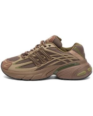 adidas Adistar Xlg 20 Trainer - Brown