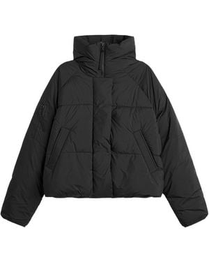 Canada Goose Chilliwack Puffer Jacket - Black