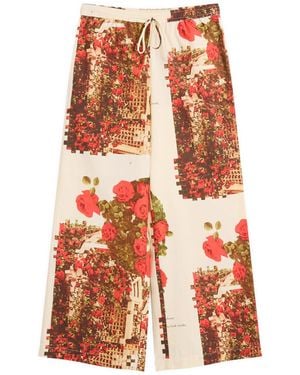 House Of Sunny Rose Garden Trousers - Orange