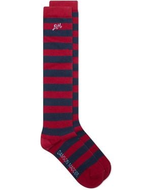 Damson Madder Knee High Stripe Socks - Red