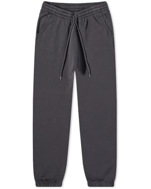 COLORFUL STANDARD Classic Organic Sweat Pant - Grey