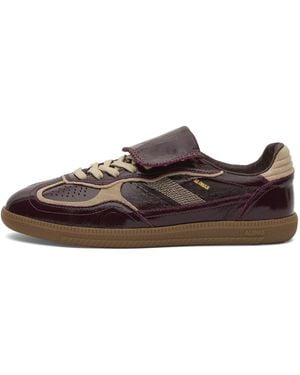 Alohas Tb 490 Club Onix Leather Sneakers - Brown