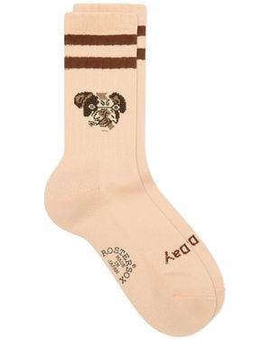Rostersox Dog Socks - Natural
