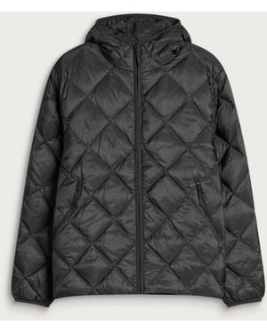 Hiking Patrol Base Lt Down Hooded Jacket - Black