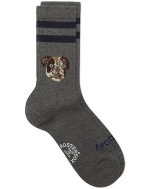 Rostersox Dog Socks - Grey