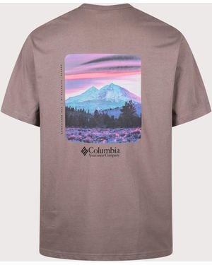 Columbia Relaxed Fit Csc Heavyweight Back Graphic T-Shirt - Pink