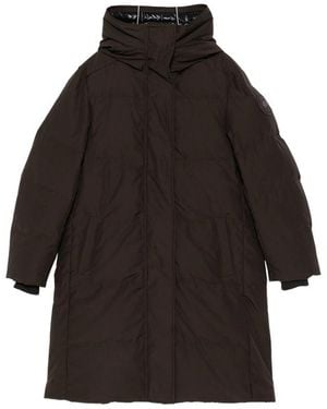 Canada Goose Down Coats - Black