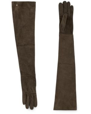Max Mara Gloves Dark - Brown