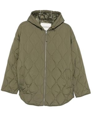 Closed Quilted Hooded Jacket - Green