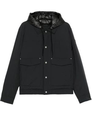Moose Knuckles Jackets - Black