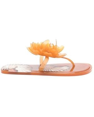 FARM Rio Flower Flip Flops - Pink