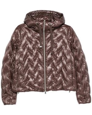 Herno Quilted Hooded Jacket - Brown