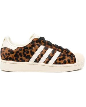 adidas Superstar Leopard-Print Sneakers - Brown
