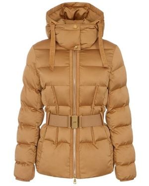 Elisabetta Franchi Short Down Jacket - Brown