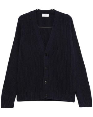 Diana Studio Ribbed-Knit V-Neck Cardigan - Blue