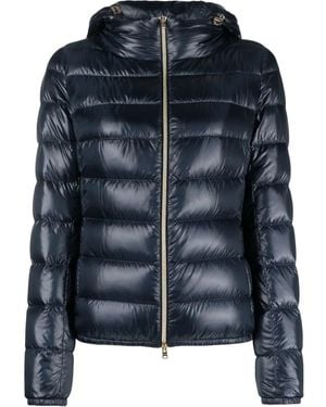 Herno Outerwears - Blue