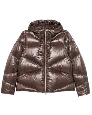 Herno Jackets - Brown
