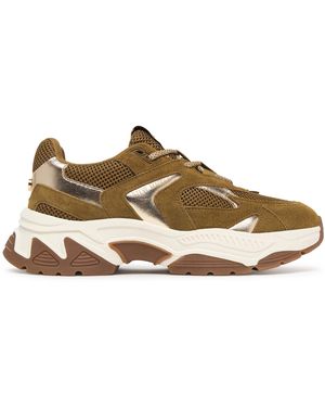 Steve Madden Sneakers 11004898 - Braun