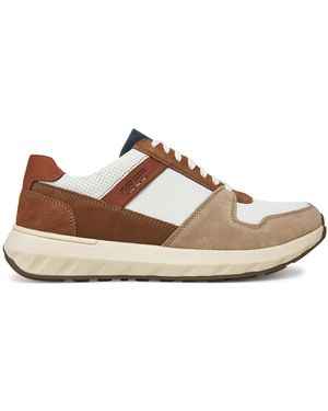 Josef Seibel Sneakers Cameron 10 33610 - Braun