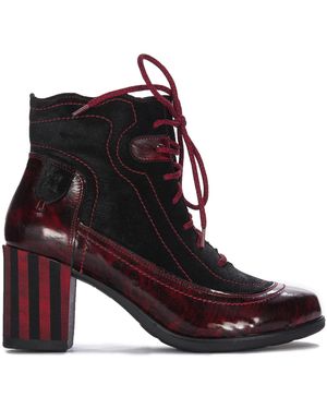 Maciejka Stiefeletten 06576-08/00-8 - Braun