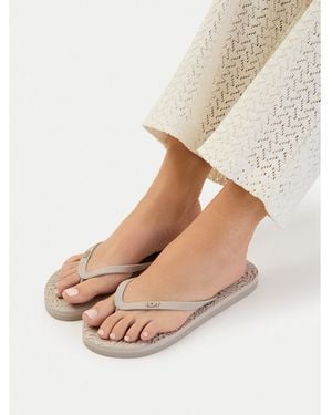 Roxy Zehentrenner Ceowb-Ss25-3C021 - Grau