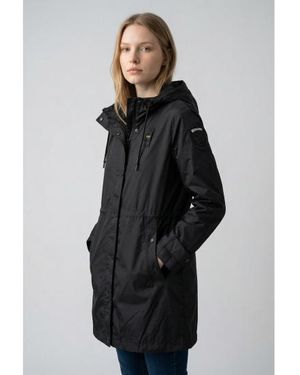 Blauer Parka Thrush - Gris